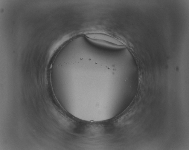 X0000062670248200601111251