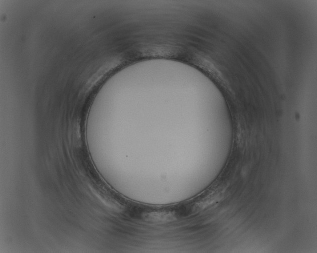 X0000062670251200601111251