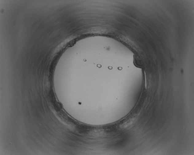 X0000062670252200601111251