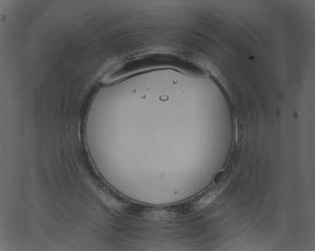 X0000062670253200601111251