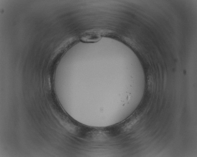 X0000062670254200601111251