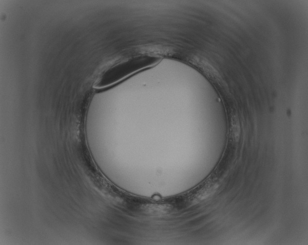 X0000062670255200601111251