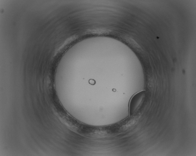 X0000062670256200601111251