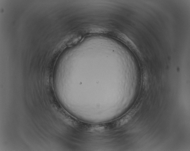 X0000062670257200601111251