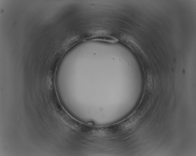 X0000062670259200601111251