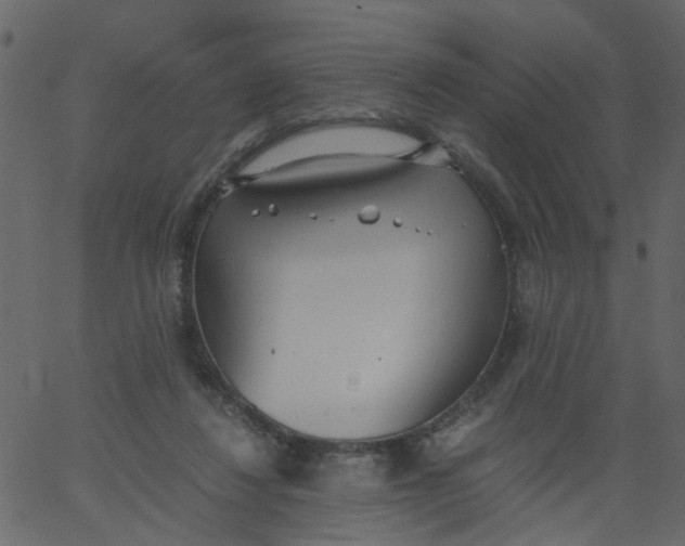 X0000062670260200601111251