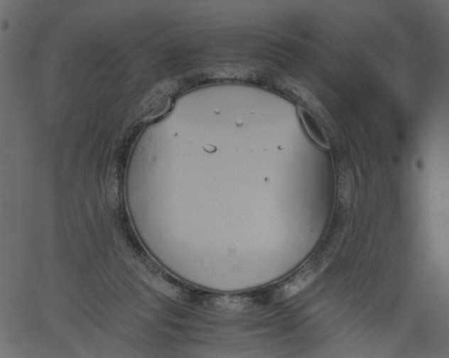 X0000062670261200601111251