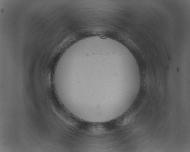 X0000062670262200601111251