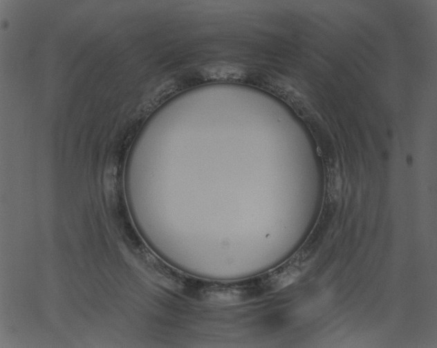 X0000062670263200601111251