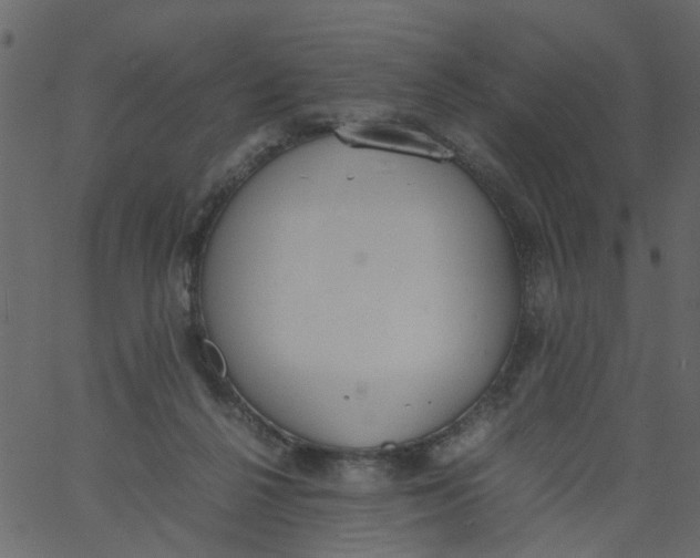 X0000062670264200601111251