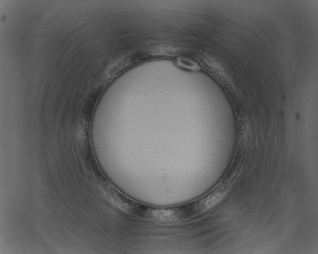 X0000062670265200601111251