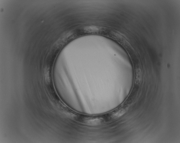 X0000062670267200601111251