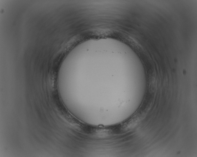 X0000062670268200601111251