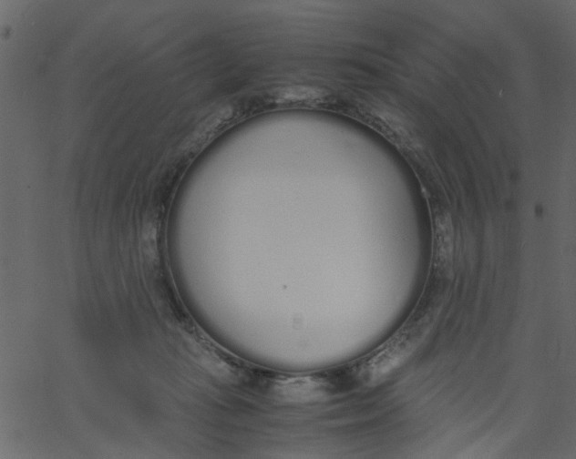 X0000062670269200601111251