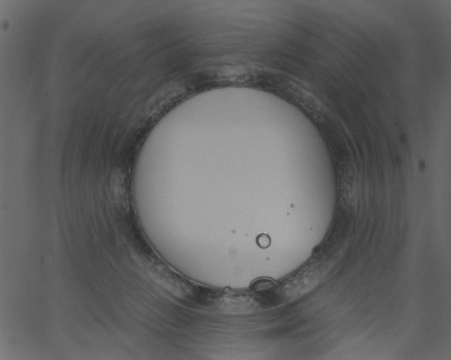 X0000062670270200601111251