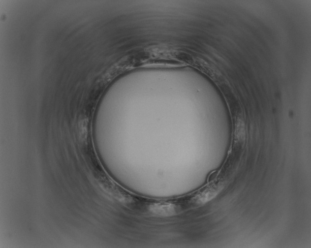 X0000062670271200601111252