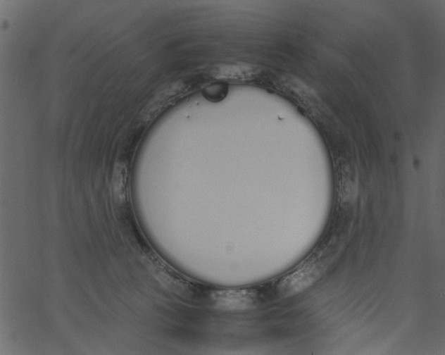 X0000062670273200601111252