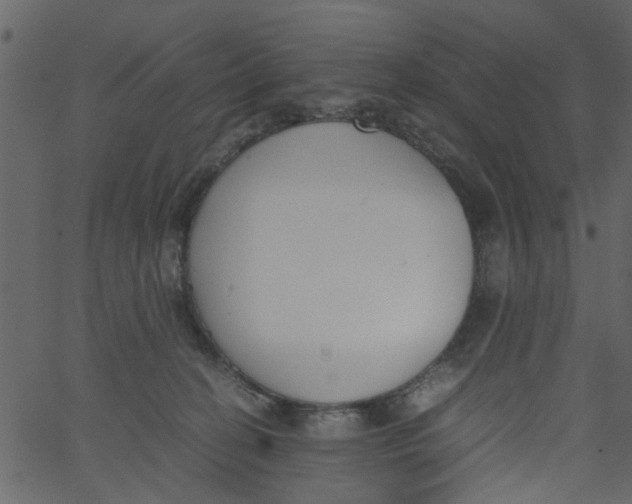 X0000062670274200601111252