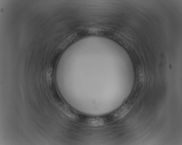 X0000062670275200601111252