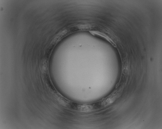 X0000062670277200601111252