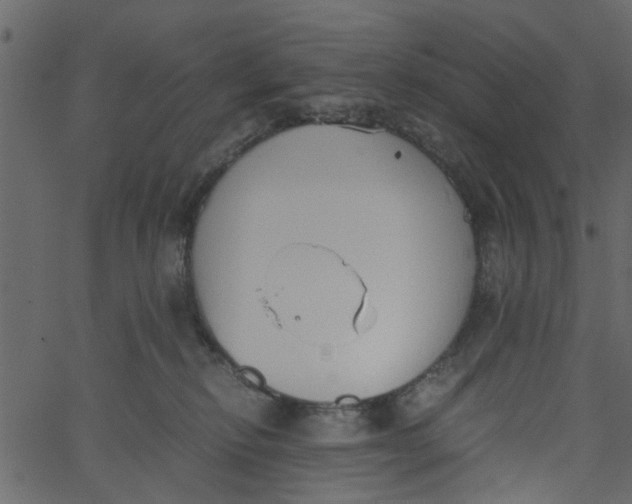 X0000062670278200601111252