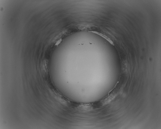 X0000062670280200601111252