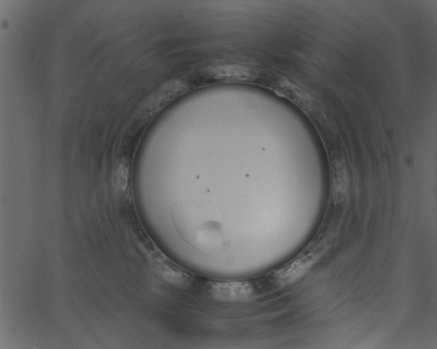 X0000062670281200601111252