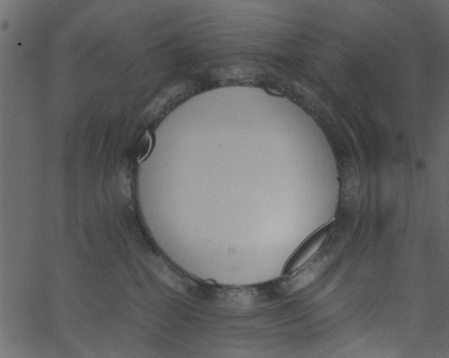 X0000062670282200601111252