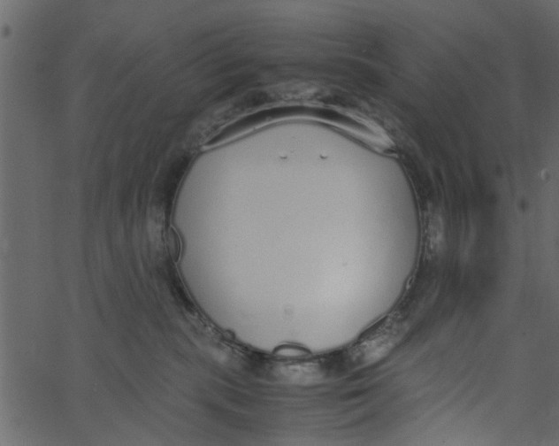 X0000062670283200601111252