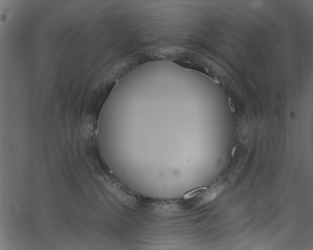 X0000062670284200601111252