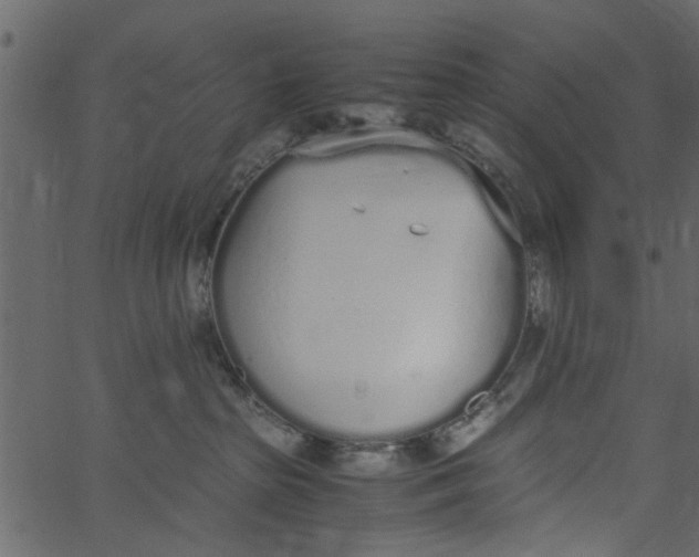 X0000062670285200601111252