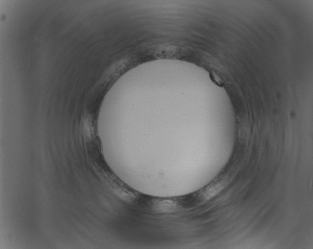 X0000062670287200601111252