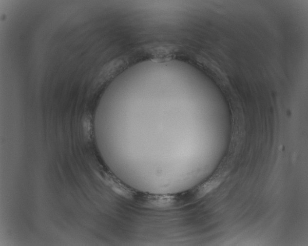 X0000062670288200601111252