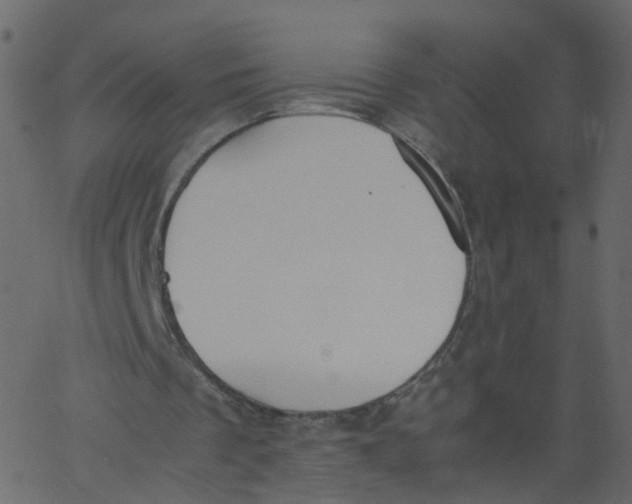 X0000062670289200601111251