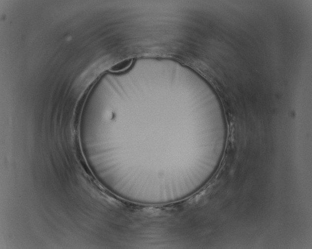 X0000062670290200601111251