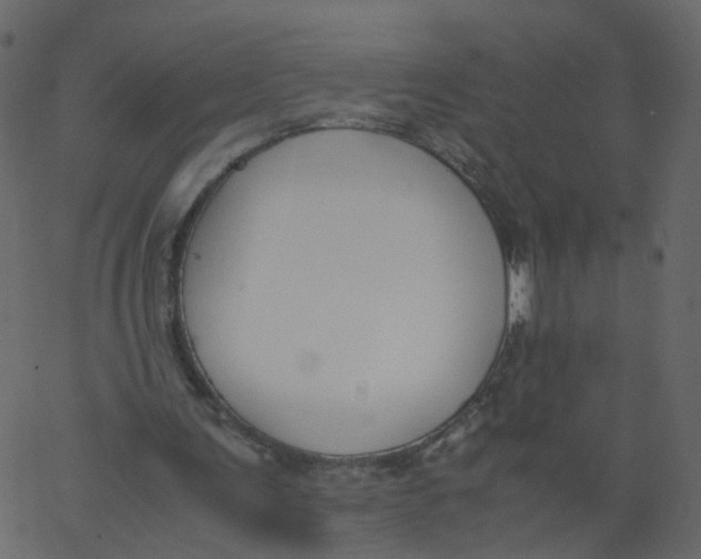 X0000062670291200601111251