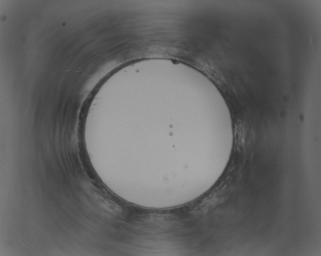 X0000062670292200601111251