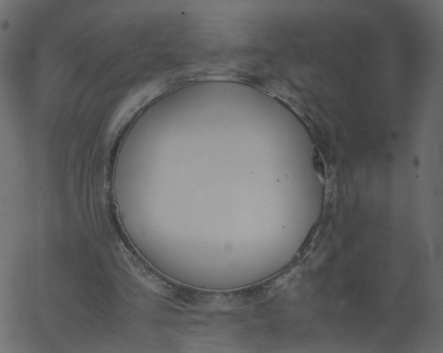 X0000062670293200601111251