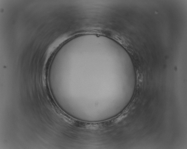 X0000062670294200601111251