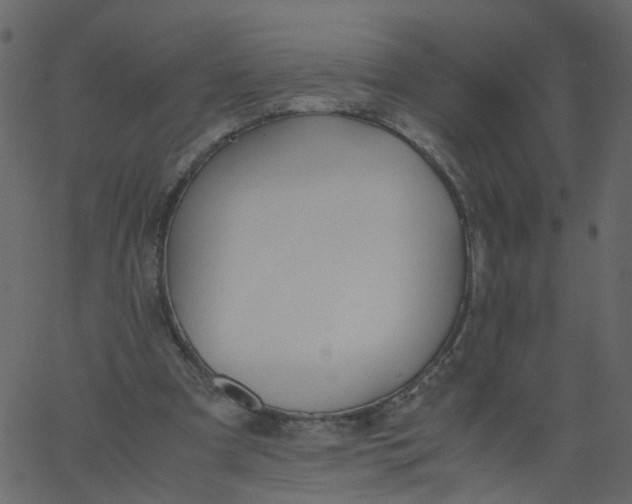 X0000062670297200601111251