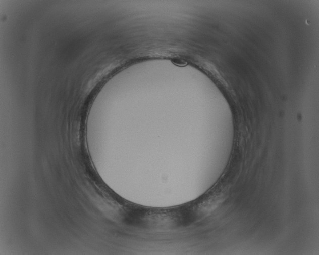 X0000062670299200601111251