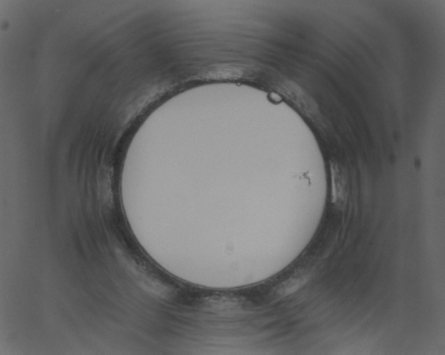 X0000062670300200601111251