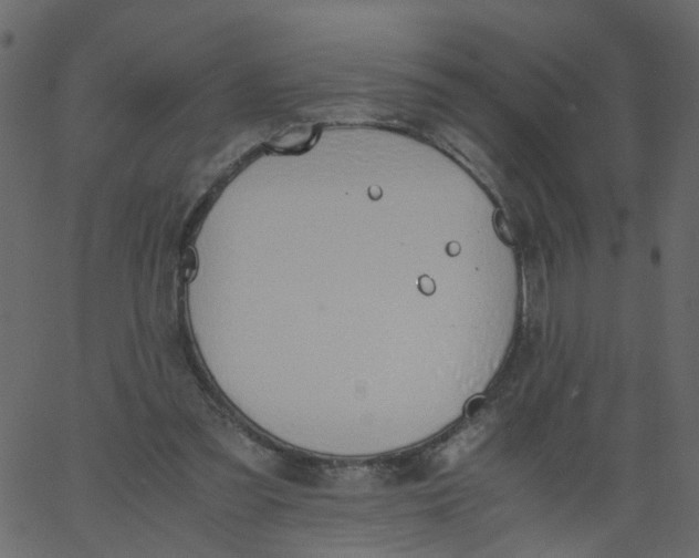 X0000062670301200601111251