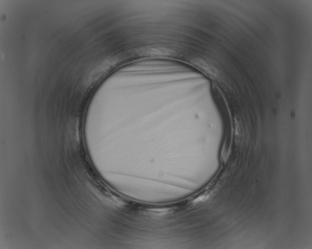 X0000062670302200601111251