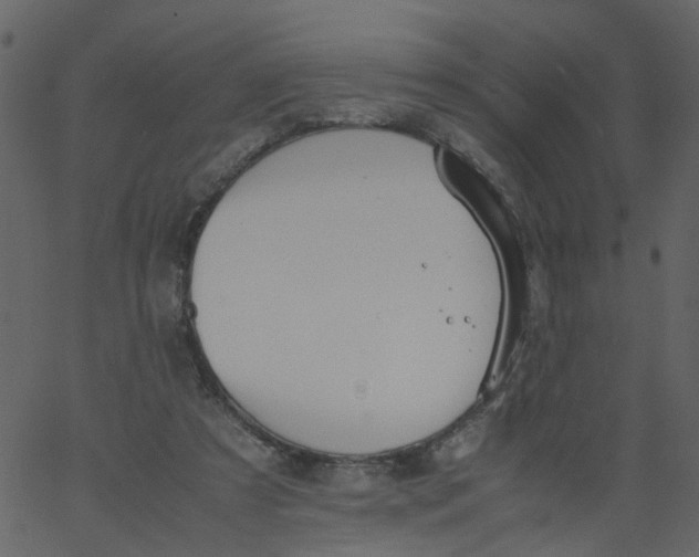 X0000062670305200601111251