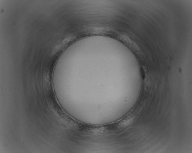 X0000062670306200601111251