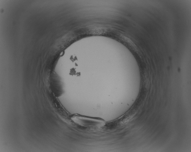 X0000062670307200601111251