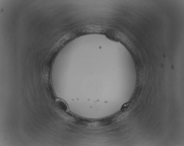 X0000062670309200601111251