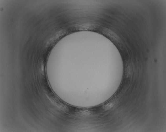 X0000062670310200601111251