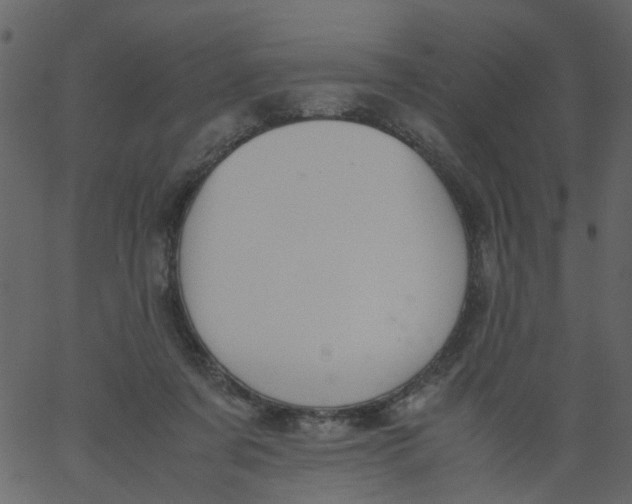 X0000062670311200601111251